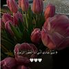 user1045376549462