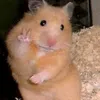 huynhgiathinh_6