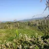 user38152650801707