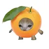 innabambina2000