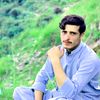 shaheenshah198