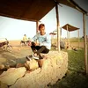 rahilghori7