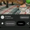 arigwwz