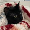 grannycrochetslayqueen