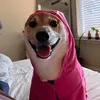jsamrosemary