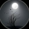 shsabbirhossain88