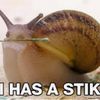 retarded.snail