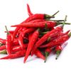 chili_padi_spicy