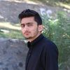 javidzulfiqar