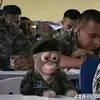 efa_100
