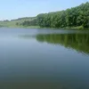 xuy_bobra123