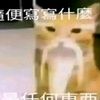cangsong1