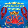 langhaisanmix_hcm