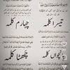 mshahzadhussain44