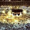 omahmed.kamal8