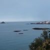 salmayaoui6