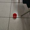 cris_cristn