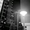 unknowns7985