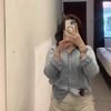 fir_ip