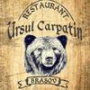 🐻Ursul Carpatin Brasov🐻