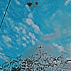 rocky__ak