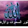 umameer715