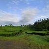 suwandiasik