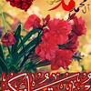 mohamadka55