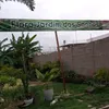 forajardinsdossonhos