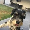 lucas.lukresio