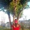 nanlay842