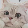 dyqof41bwq8w