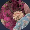 gqsm8