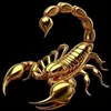 joelmafranca68