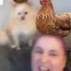 boobycakes1