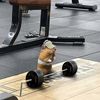 el_samu0710