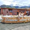 dianao7909