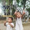 shandra_ardi