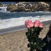 .mariam.ahmed41