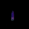 novanight_36