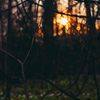 glasshollow_21