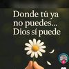 _monzon2