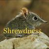 shrewdness133