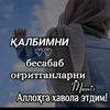 dyhsg7ntk57f