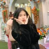 dinmoo1