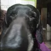 @the_benjaxdr