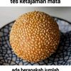 hoiruzikri6