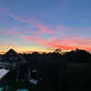 prvt_viki