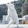 wawawawaa.81