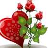 imtiazahmed6899